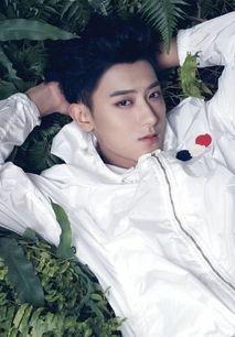 娱乐圈吃瓜黄子韬,揭秘吃瓜背后的真相与成长