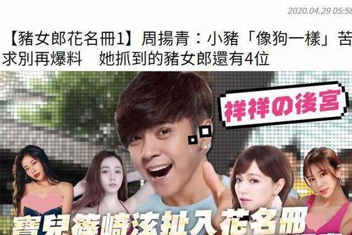 晋江娱乐圈吃瓜小说,揭秘幕后真相，吃瓜群众狂欢记